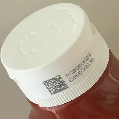KetchupCap01